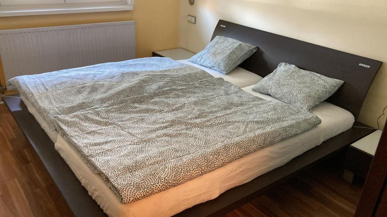Anton Bruckner Lounge L Free Parking Lejlighed Linz Eksteriør billede